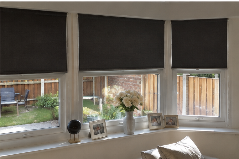 Conservatory Blind Ideas for Stylish Homes 1 conservatory_blinds_daily_walk_4.png